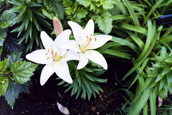 f:id:gzutetsu:20120819091128j:image