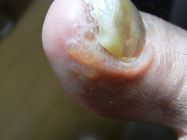 f:id:gzutetsu:20120905000205j:image