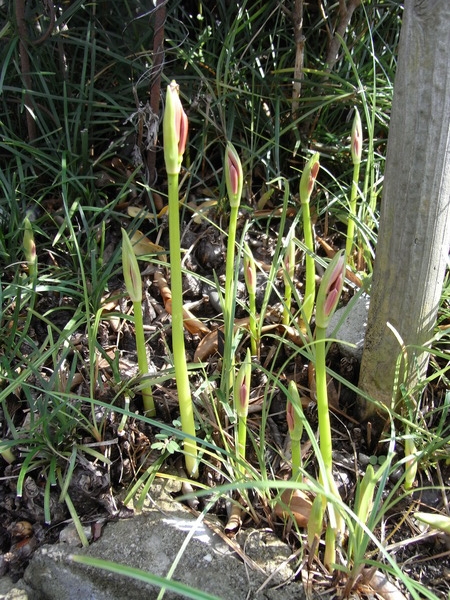 f:id:gzutetsu:20120923141141j:image