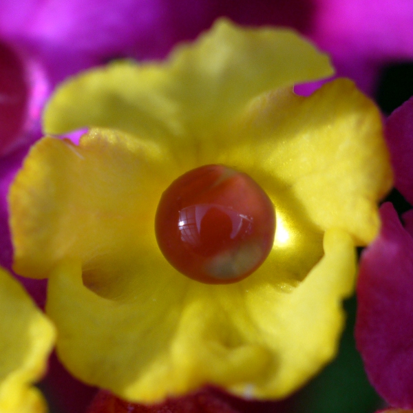 f:id:gzutetsu:20120923143542j:image