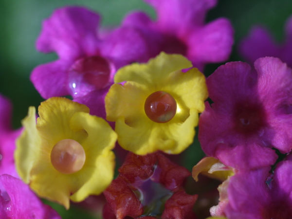 f:id:gzutetsu:20120923143742j:image