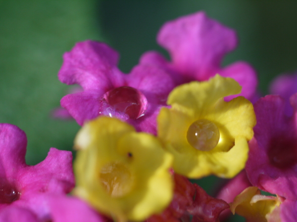 f:id:gzutetsu:20120923144044j:image