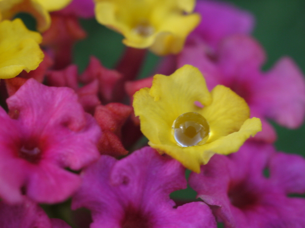 f:id:gzutetsu:20120923144245j:image