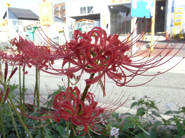 f:id:gzutetsu:20121002083740j:image