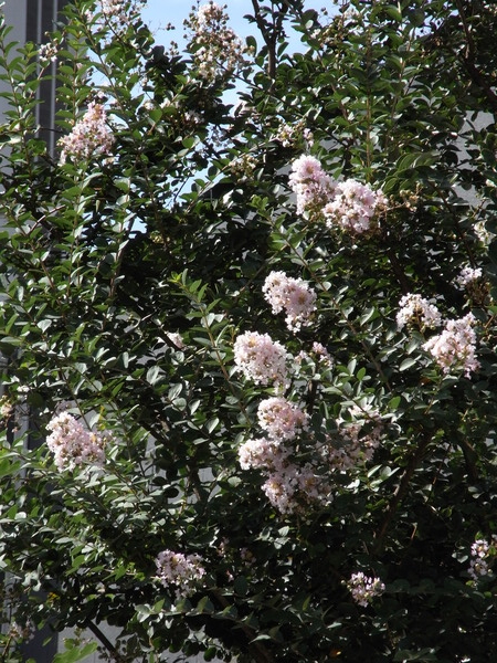 f:id:gzutetsu:20121005132305j:image f:id:gzutetsu:20121005132305j:image