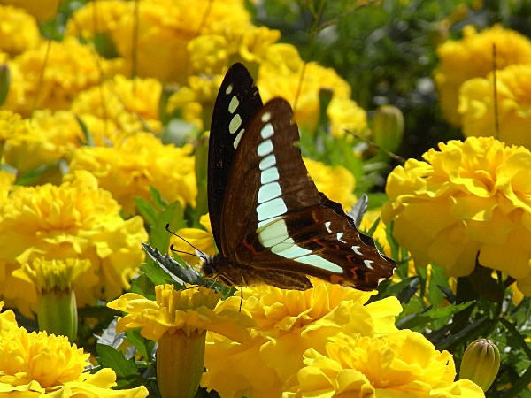 f:id:gzutetsu:20121027120426j:image