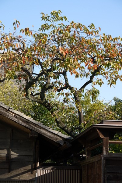 f:id:gzutetsu:20121103152036j:image