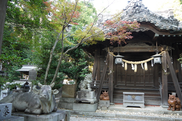 f:id:gzutetsu:20121103153503j:image