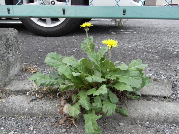 f:id:gzutetsu:20121109104226j:image