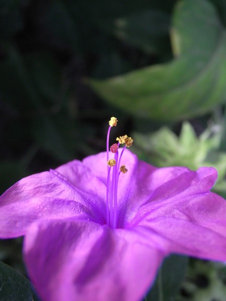 f:id:gzutetsu:20121111085444j:image