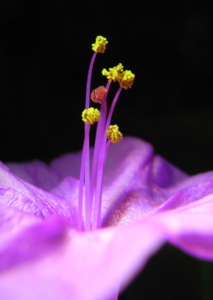 f:id:gzutetsu:20121111151103j:image