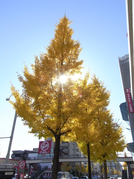 f:id:gzutetsu:20121121104109j:image