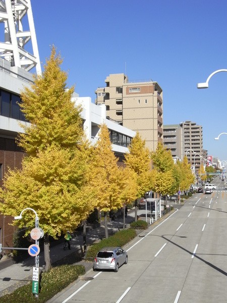 f:id:gzutetsu:20121121104437j:image