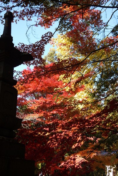 f:id:gzutetsu:20121125125205j:image f:id:gzutetsu:20121125125205j:image