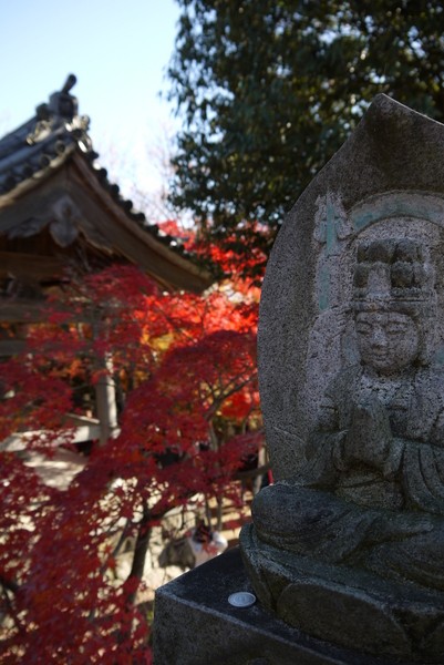 f:id:gzutetsu:20121125130803j:image f:id:gzutetsu:20121125130803j:image