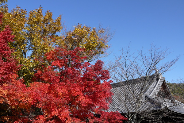 f:id:gzutetsu:20121125131134j:image f:id:gzutetsu:20121125131134j:image