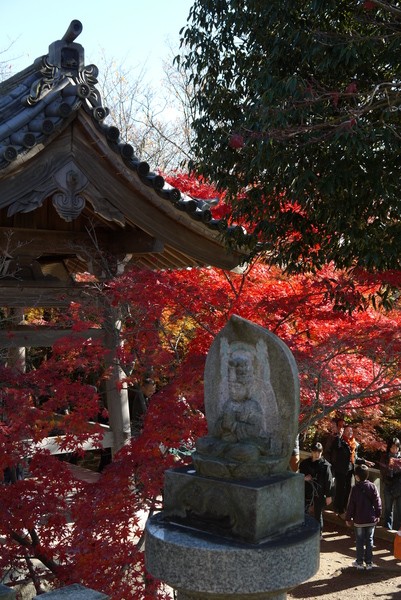 f:id:gzutetsu:20121125131307j:image f:id:gzutetsu:20121125131307j:image