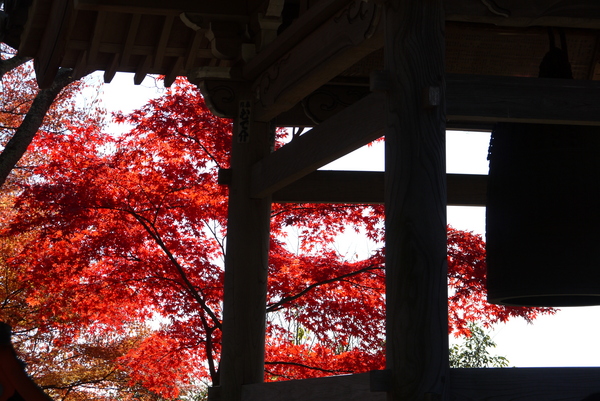 f:id:gzutetsu:20121125131547j:image f:id:gzutetsu:20121125131547j:image
