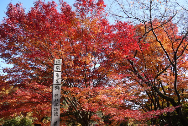 f:id:gzutetsu:20121125131722j:image f:id:gzutetsu:20121125131722j:image