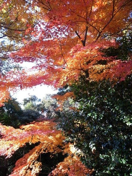 f:id:gzutetsu:20121125132534j:image f:id:gzutetsu:20121125132534j:image