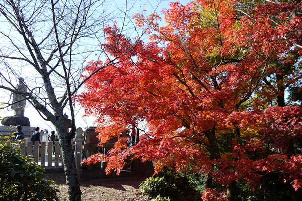 f:id:gzutetsu:20121125132803j:image f:id:gzutetsu:20121125132803j:image