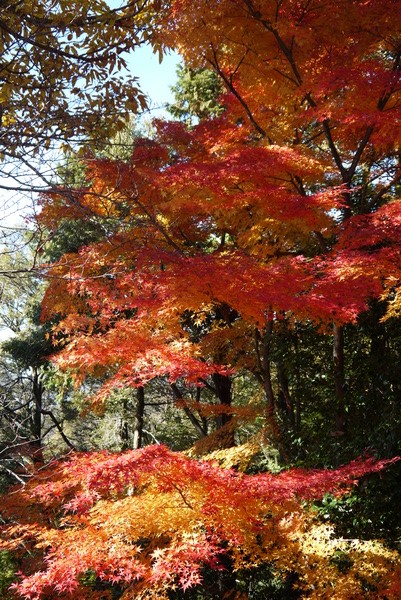 f:id:gzutetsu:20121125132849j:image f:id:gzutetsu:20121125132849j:image