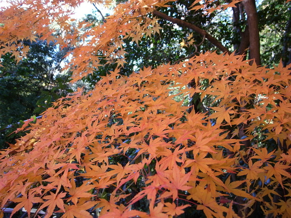 f:id:gzutetsu:20121125133057j:image f:id:gzutetsu:20121125133057j:image