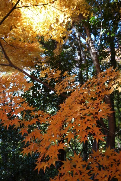 f:id:gzutetsu:20121125133310j:image f:id:gzutetsu:20121125133310j:image