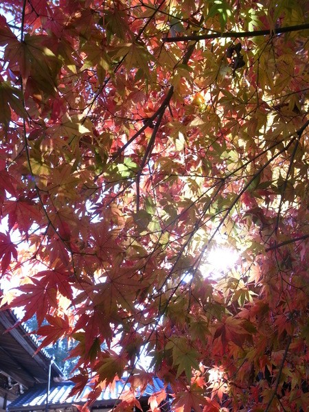 f:id:gzutetsu:20121125133532j:image f:id:gzutetsu:20121125133532j:image
