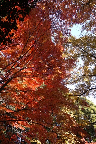 f:id:gzutetsu:20121125134257j:image f:id:gzutetsu:20121125134257j:image