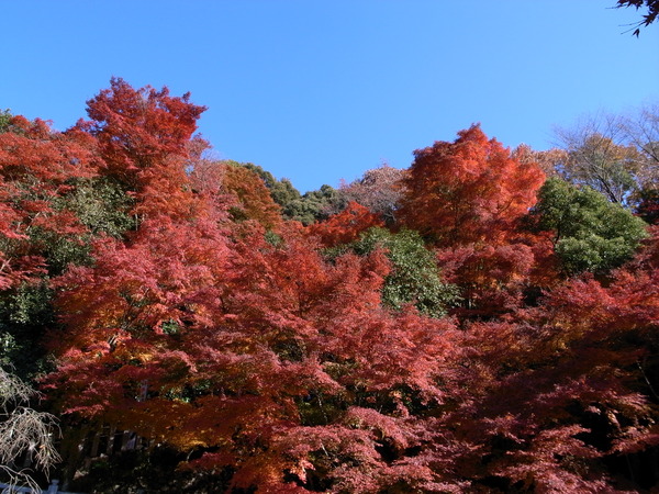 f:id:gzutetsu:20121125135257j:image f:id:gzutetsu:20121125135257j:image