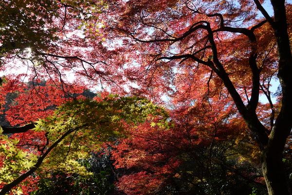 f:id:gzutetsu:20121125140114j:image f:id:gzutetsu:20121125140114j:image