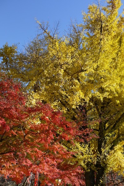 f:id:gzutetsu:20121125142458j:image f:id:gzutetsu:20121125142458j:image