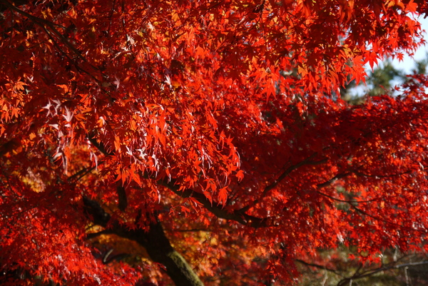f:id:gzutetsu:20121125152252j:image f:id:gzutetsu:20121125152252j:image