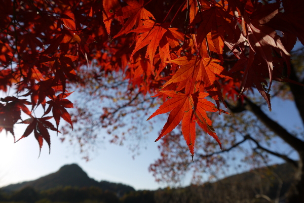 f:id:gzutetsu:20121125152339j:image f:id:gzutetsu:20121125152339j:image