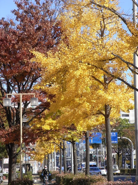 f:id:gzutetsu:20121127131645j:image