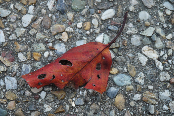 f:id:gzutetsu:20121201163317j:image