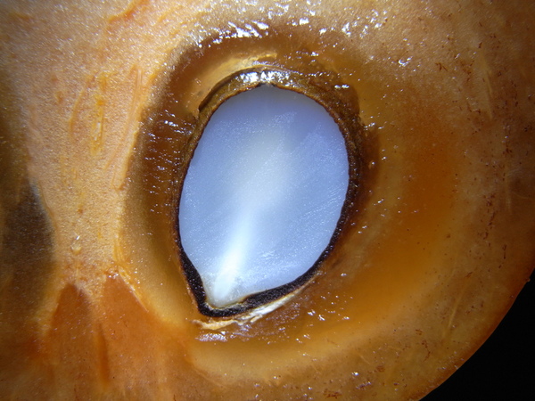 f:id:gzutetsu:20121206200404j:image