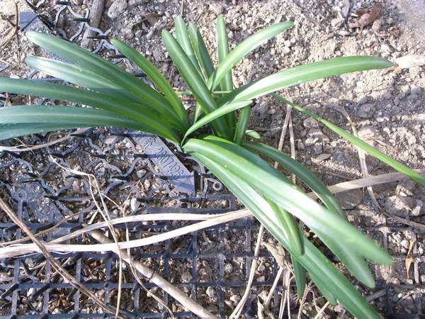 f:id:gzutetsu:20121208132420j:image