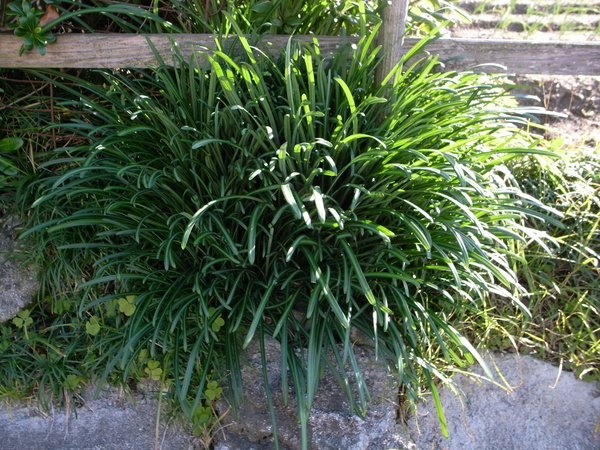 f:id:gzutetsu:20121208133145j:image