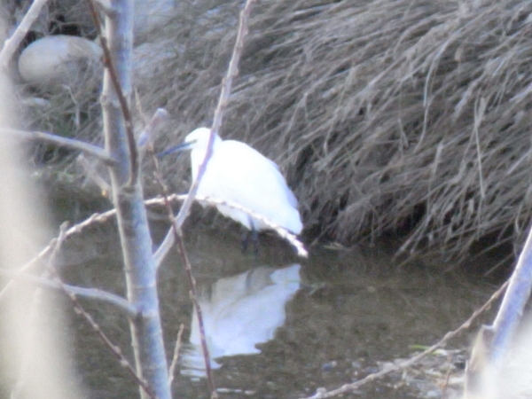 f:id:gzutetsu:20130127152732j:image