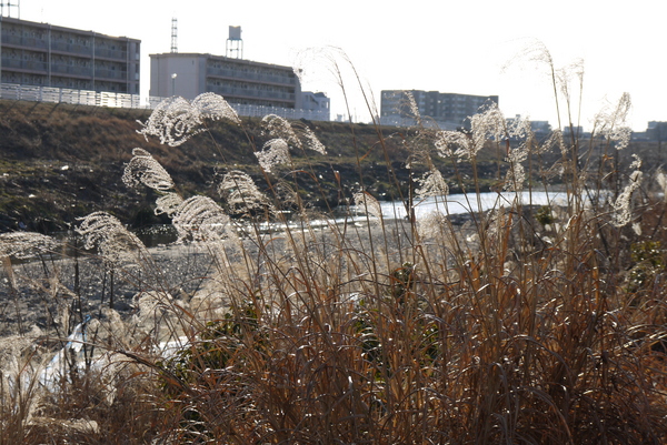f:id:gzutetsu:20130203155049j:image