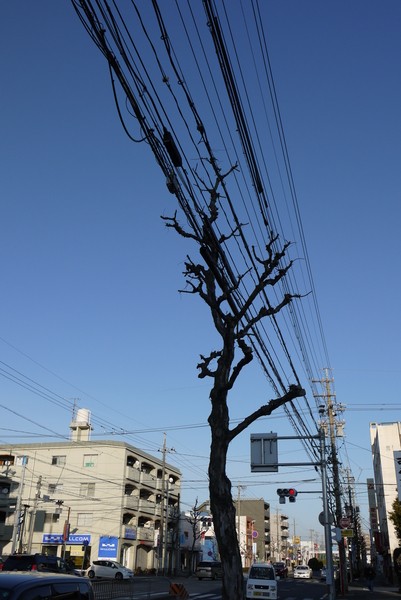 f:id:gzutetsu:20130203161238j:image