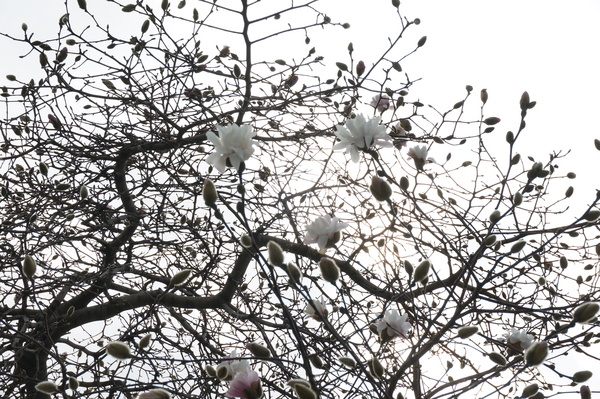 f:id:gzutetsu:20130313101658j:image