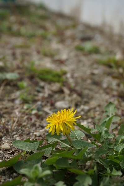 f:id:gzutetsu:20130313101814j:image