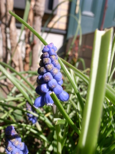 f:id:gzutetsu:20130316093416j:image