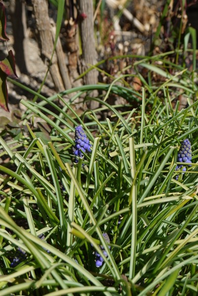 f:id:gzutetsu:20130316093844j:image