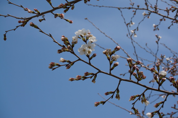 f:id:gzutetsu:20130324100351j:image