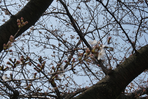f:id:gzutetsu:20130324105226j:image