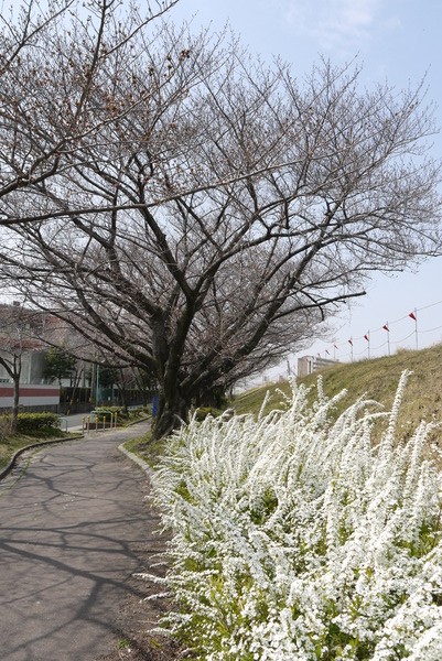 f:id:gzutetsu:20130324105809j:image
